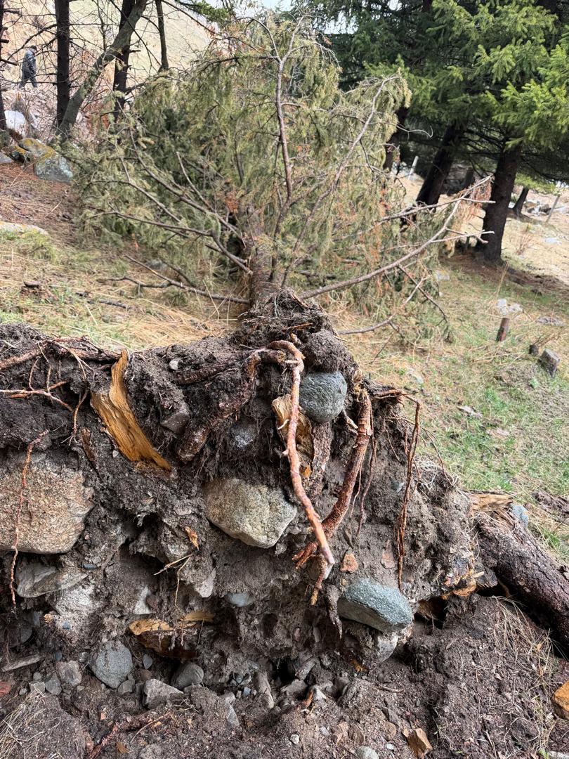 При строительстве ГЭС в Кеминском районе выявлены экологические нарушения