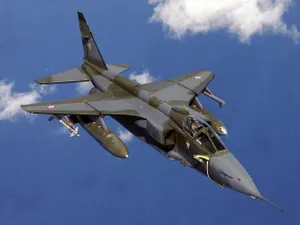 Боевой самолет чудом не взорвался после столкновения с птицей