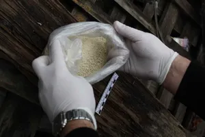 Почти две тонны наркотиков изъяты из незаконного оборота в Казахстане – МВД