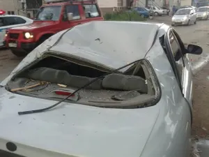 Упавшее дерево повредило автомобиль – пострадали женщина и ребенок (ФОТО)