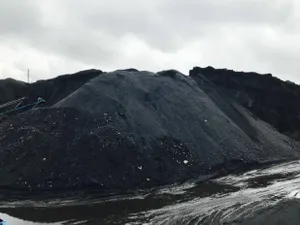 Видео об очередях за углем в Казахстане – это фейк – Минэнерго