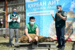 81 тысяче семей было распределено жертвенное мясо на Курбан айт