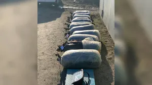 Крупную партию наркотиков изъяли в Павлодарской области