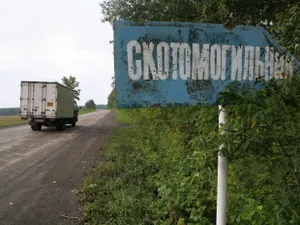 Больше половины скотомогильников не соответствуют требованиям в ЗКО