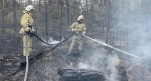 Насколько увеличили зарплаты лесникам в Казахстане
