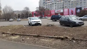 В соцсетях сообщили об очередном уничтожении деревьев в Алматы