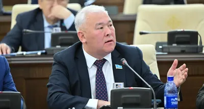 Депутат усомнился в версии полиции об «антикварном оружии» в ЖК Highvill